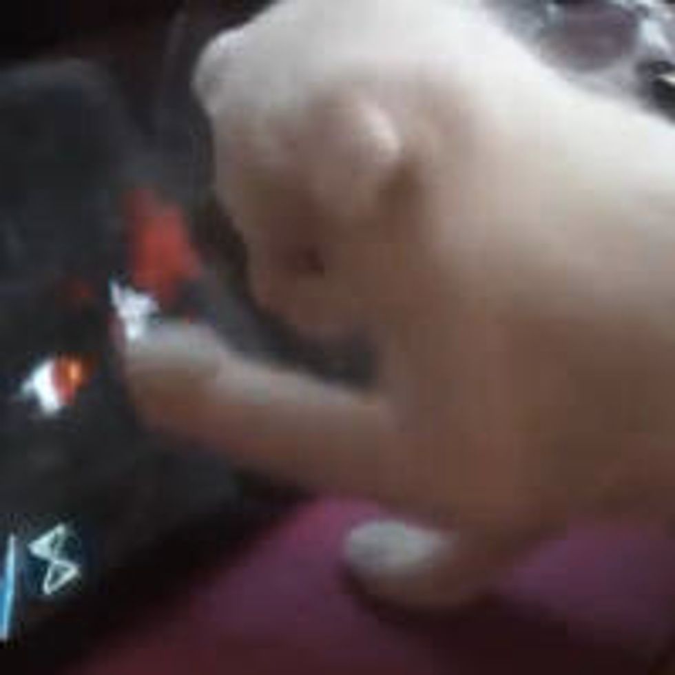 5-week-old Kitten Playing Dishonored on iPad