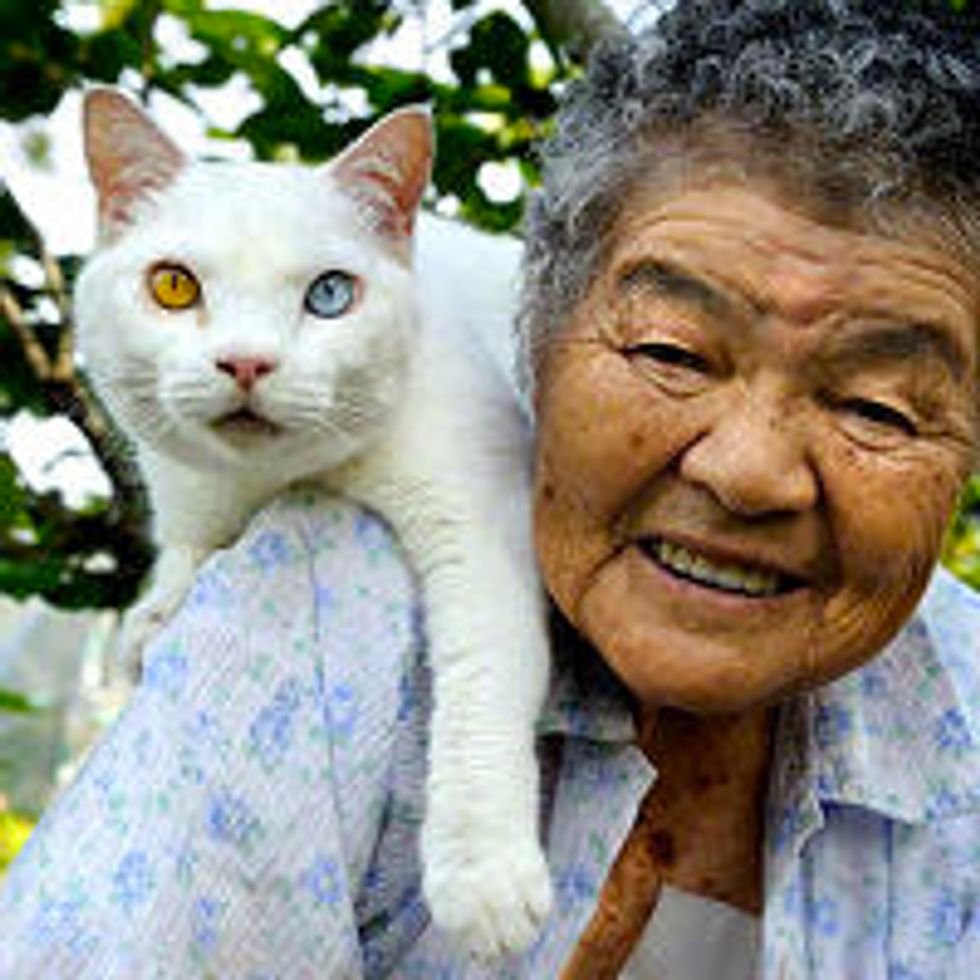 Chronicle of 87-Year-Old Grandmother and Her Beloved Cat