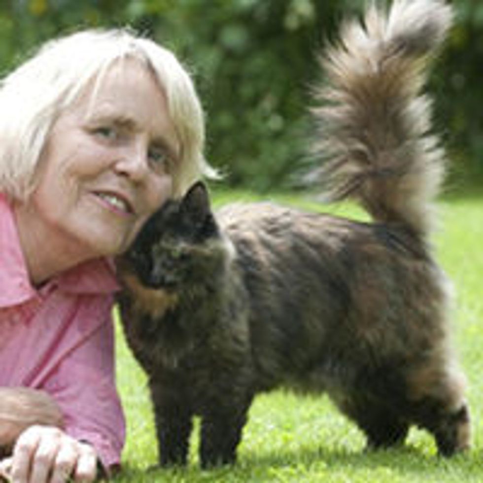 Very Timid Rescue Cat Saved Woman in Her Darkest Time