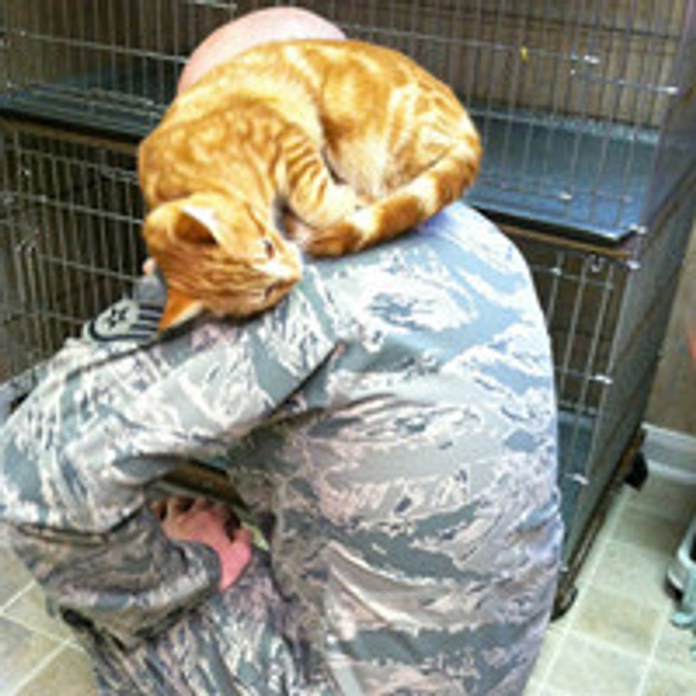 Shelter Cat Chooses Man For Forever Home