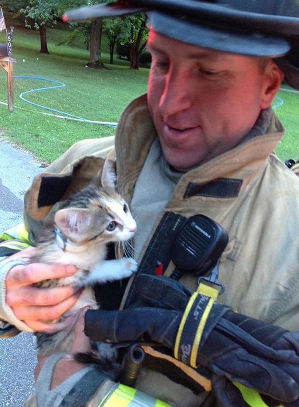 Madison Firefighters Save A Cat And A Kitten From House Fire