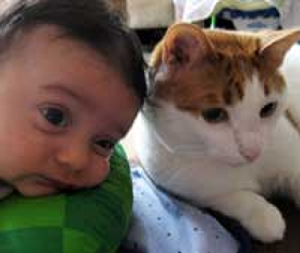Friendship from Birth - Kitty & Baby