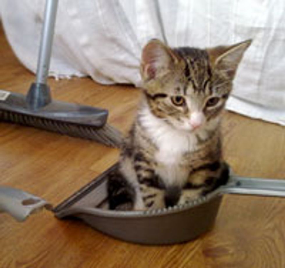 Little Clean-Up Helper