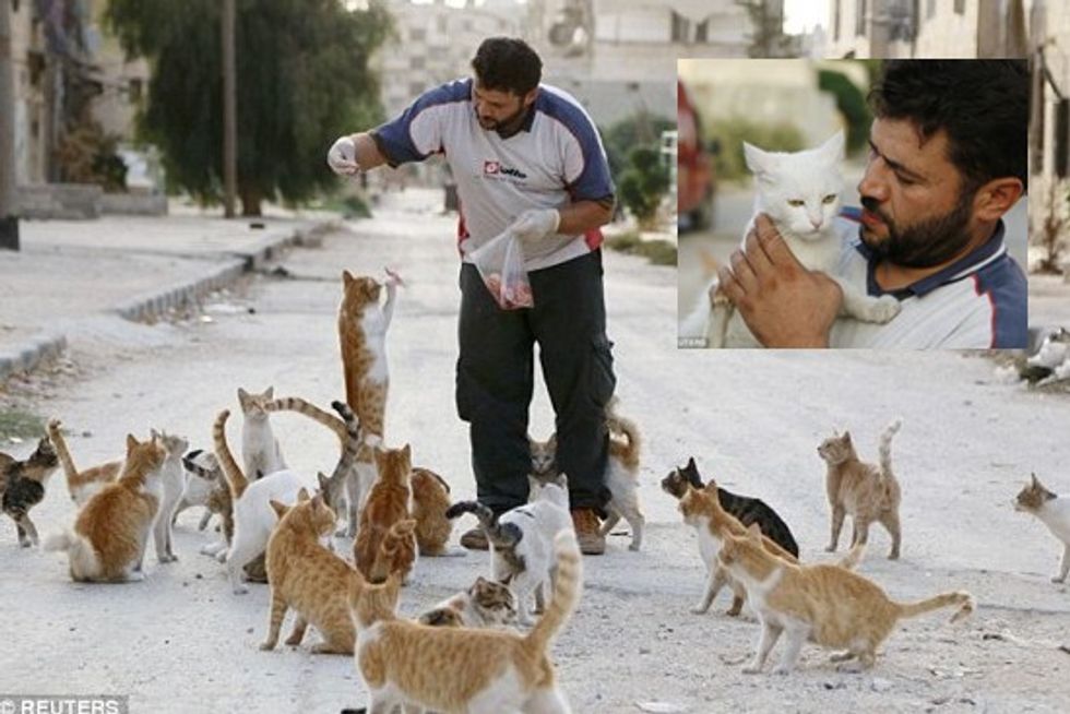 Ambulance driver of Aleppo spends savings on feeding stray cats as civil war rages around him