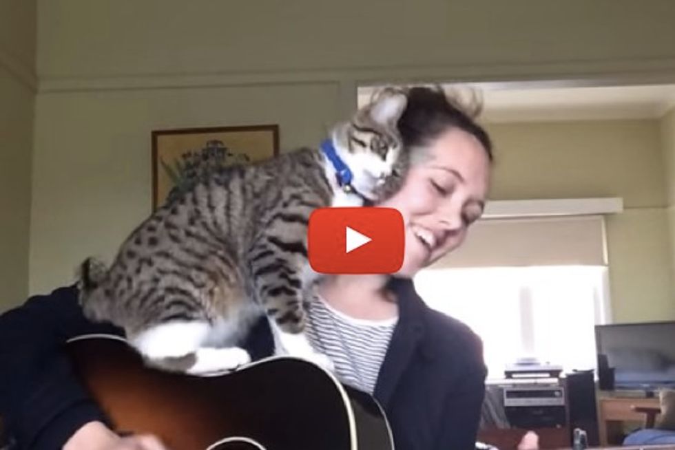 George The Cat Steals The Spotlight When His Mom Sings
