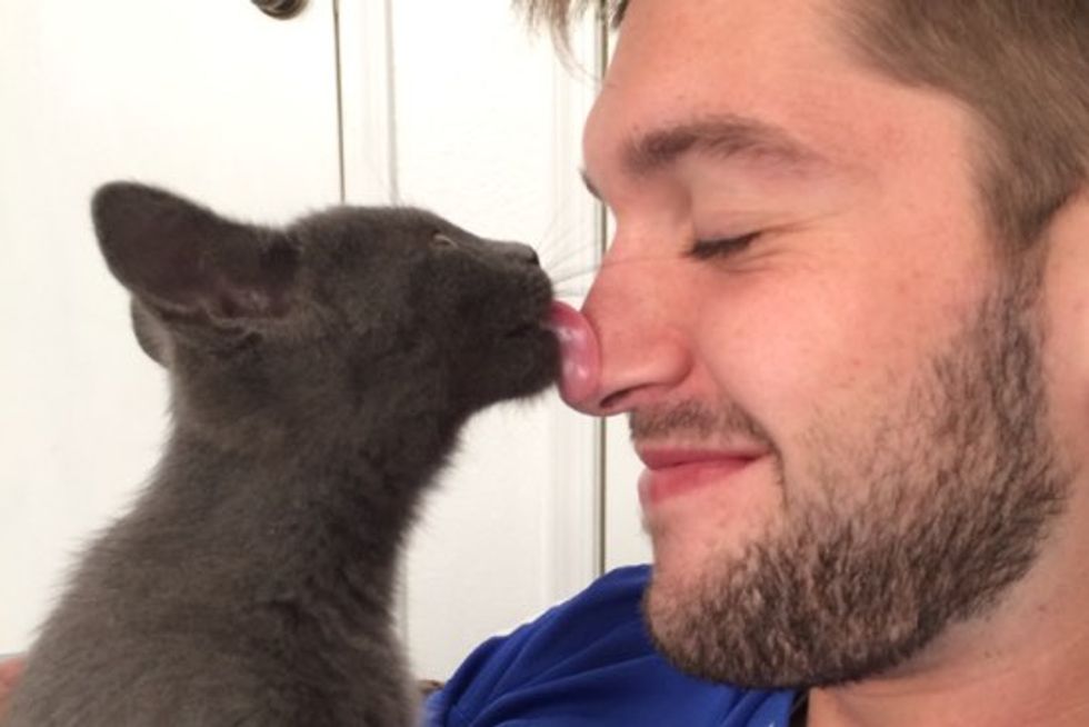 Adopted Kitty Adores His New Dad