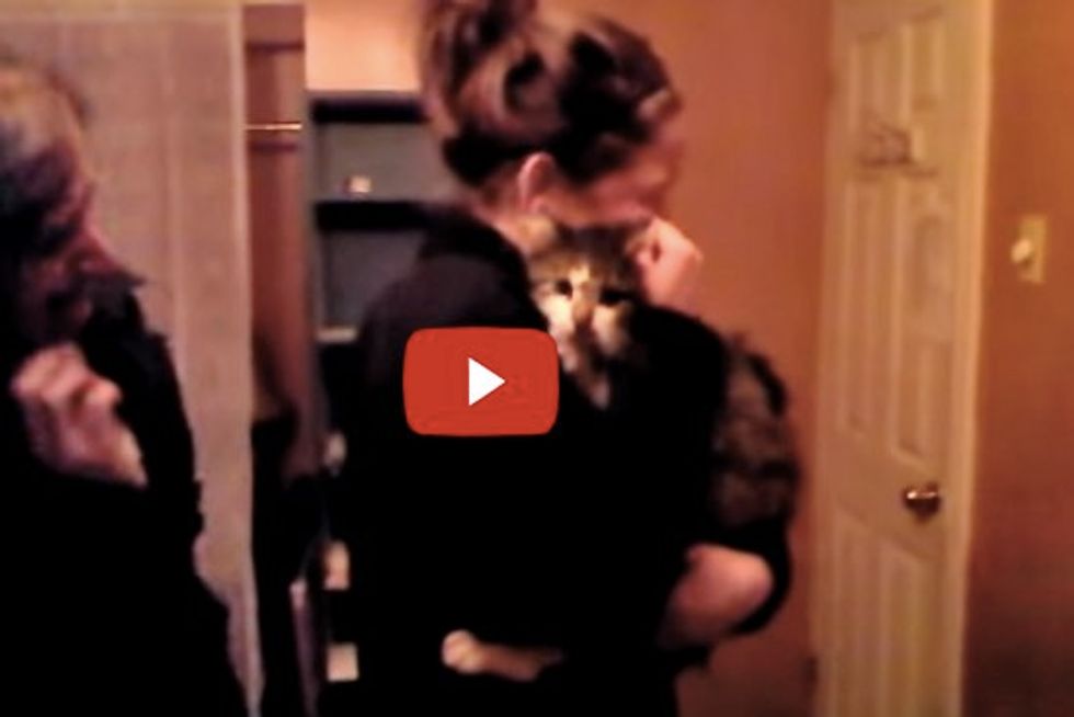 Tito the Cat Reunited with His Mom, a Christmas Miracle!