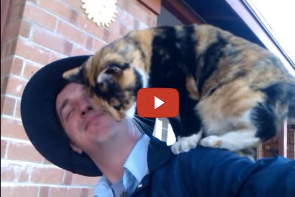 Cats Greet the Mailman Every time He comes Over