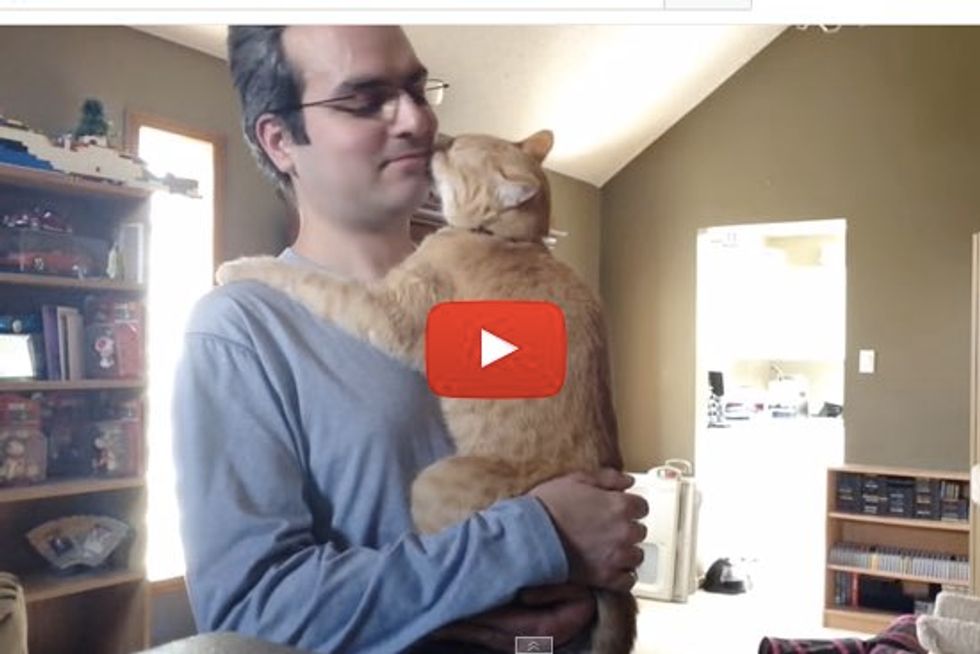 Garfield the Very Needy Cat Hugs and Follows His Human Around