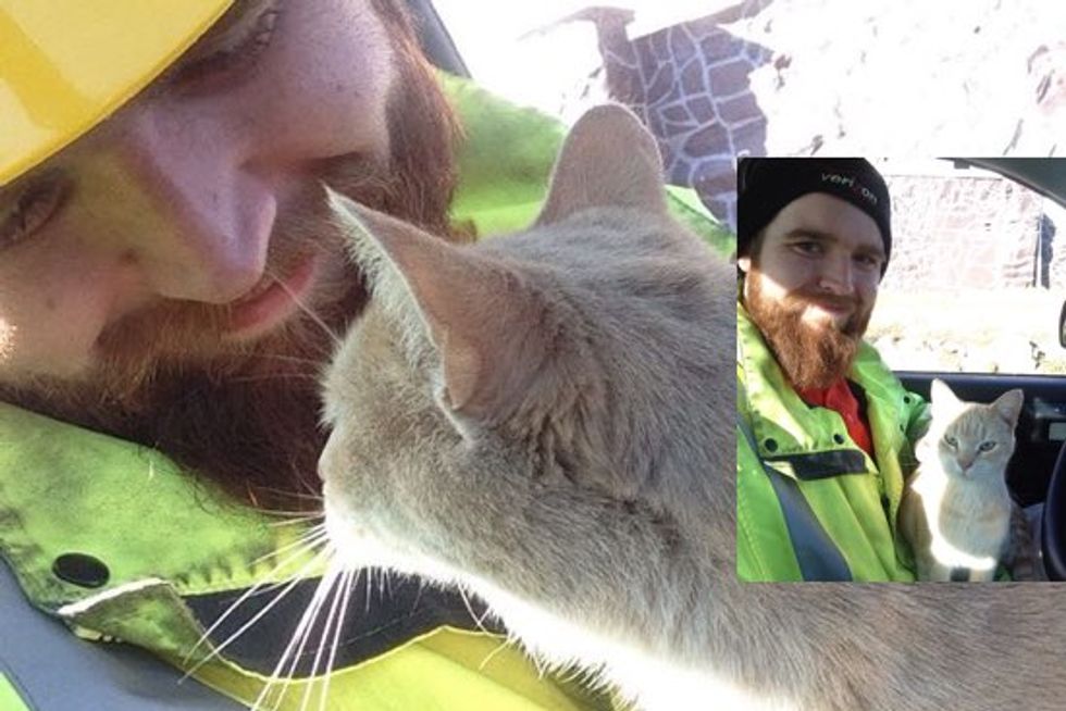 Friendly Cat Hops into Worker's Truck and Keeps Him Company