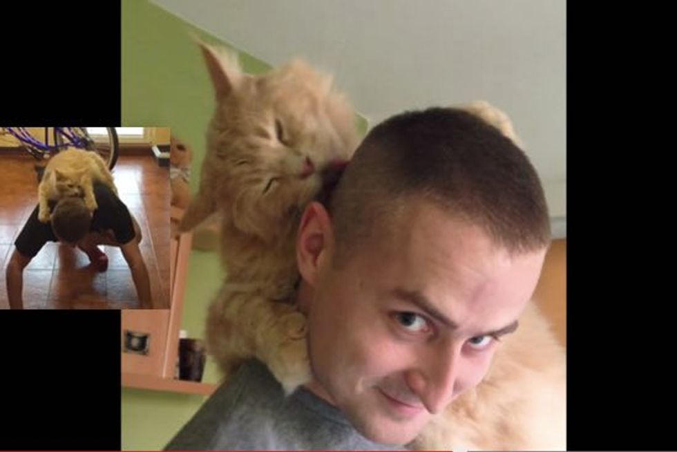 Cat Loves to Groom His Human Dad Even When He's Working Out