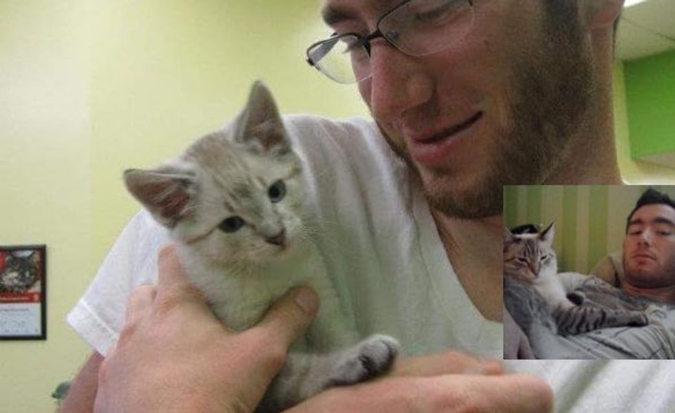 Man Falls in Love with a Shelter Cat. He Tells the Story in Pictures