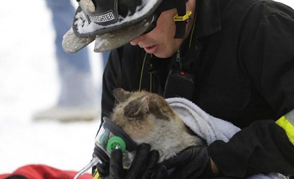 Prissy the Cat Who Escaped House Fire is Comforted by Firefighter