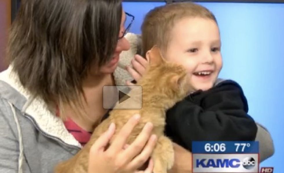 3 Year Old Boy Rescues Special Kitten Born without Eyes