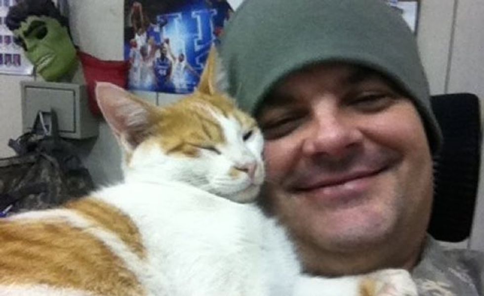 Kentucky Soldier Giving Kuwaiti Cat a New Home in the US