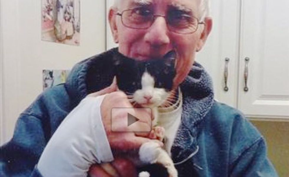 Kitten Rescued from a Mailbox Found Home with a Retired Mailman