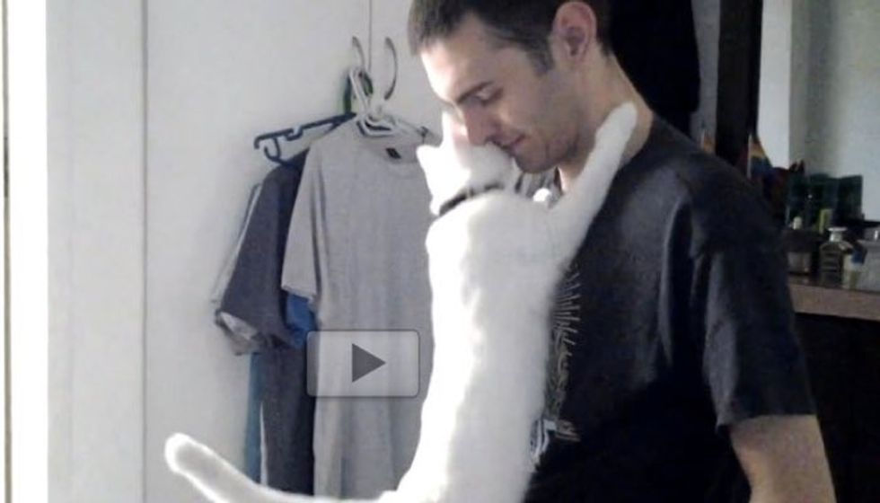 This Cat is So Affectionate. He Cant' Stop Hugging His Human