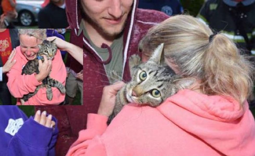 Emotional Rescue! Missing Cat Saved from Well Reunited with Petmom!