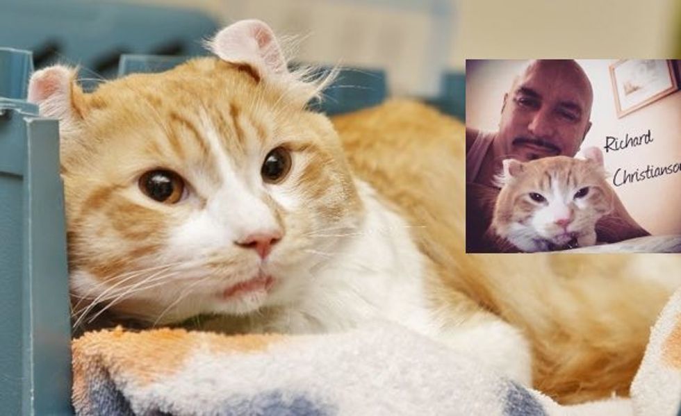 This Man Saves a Cat From Freeway While Everyone Else Refused to Help!