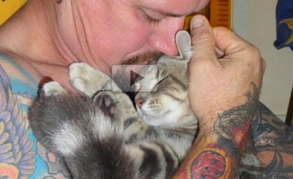 These 16 Pet Dads Love Their Cats Proudly!