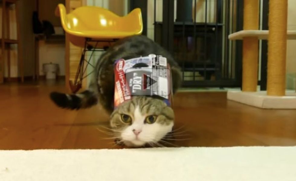 Does the Box Become Part of Maru OR Does Maru Become Part of the Box?
