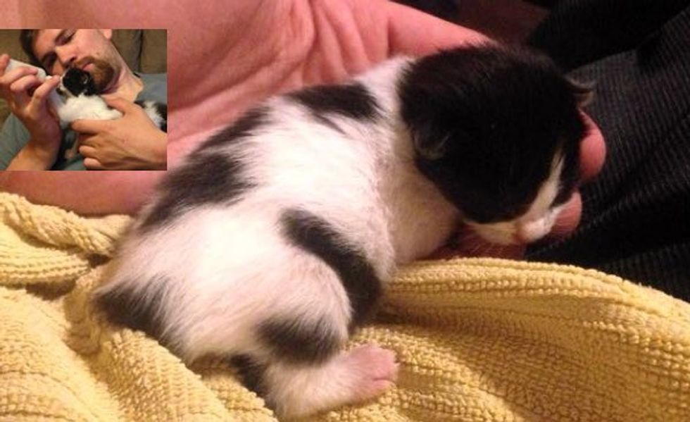 Man Saves 5-day-old Kitten and Becomes Her New Papa