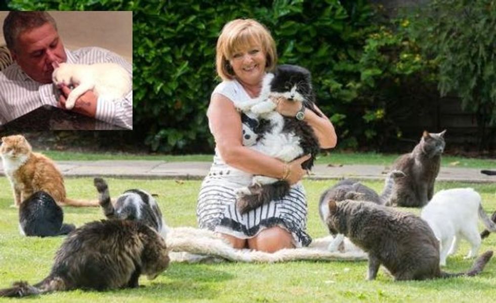 Woman Spends £90,000 a Year Caring for Abandoned Cats. Her Husband Doesn't Mind At All!