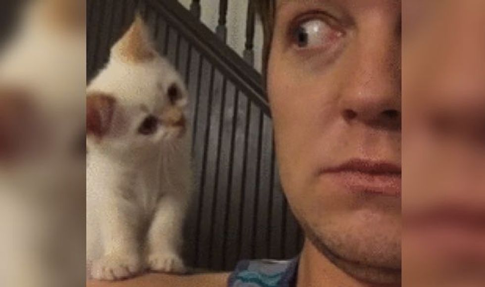 Gouda the Cat Makes This Man His Forever Human!