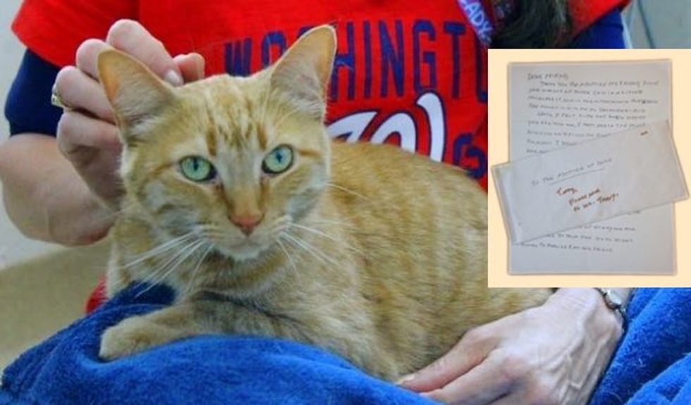 Woman Wrote Heartfelt Note to Her Cat's Future Human Before She Passed Away