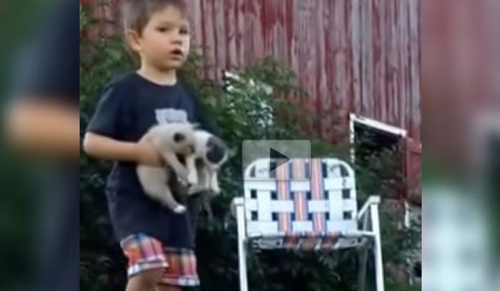 Toddler Kitten-sits Five Fur Babies and Takes His Duty Very Seriously