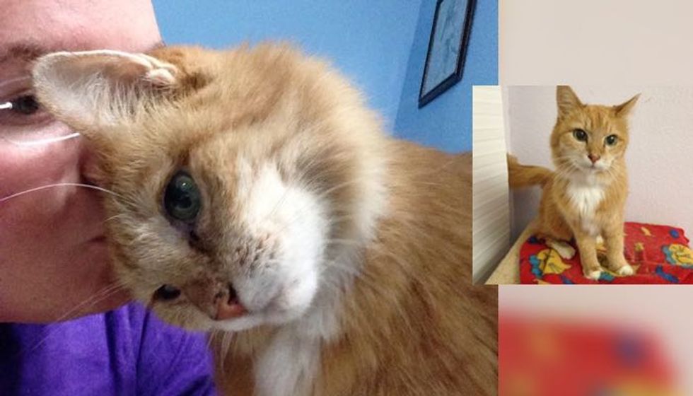 They Rescue a 20 Year-old Cat. Now She Tells Her Humans How Happy She is Everyday