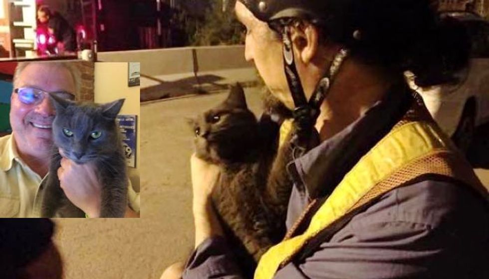 Cat Rescued from Under Bridge Chooses Retired Journalist as Her Human