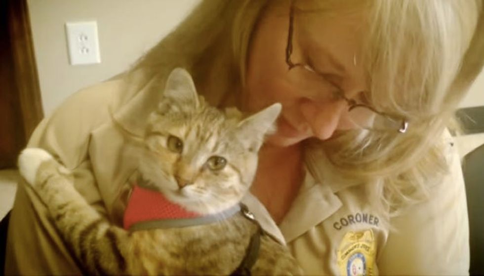 Coroner Fights To Keep Therapy Cat at the Office