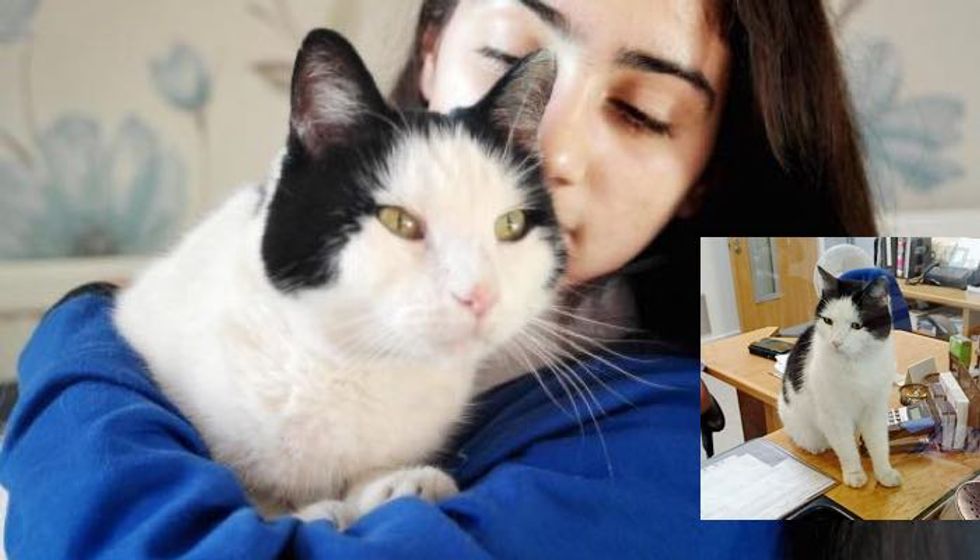 Missing Cat Finds His Way Home on a Train, Even Got Off at the Right Stop!