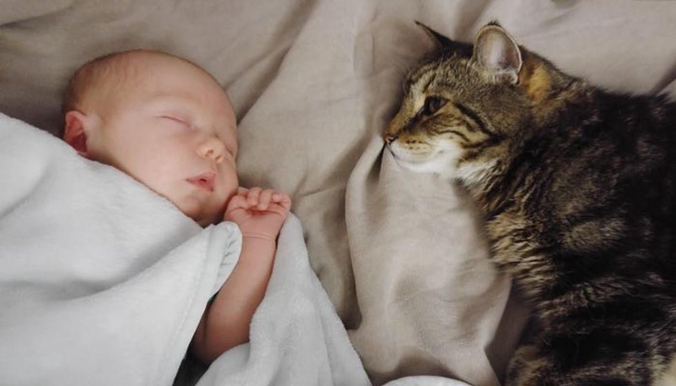 Cat Waited 9 Months to Meet His New Buddy