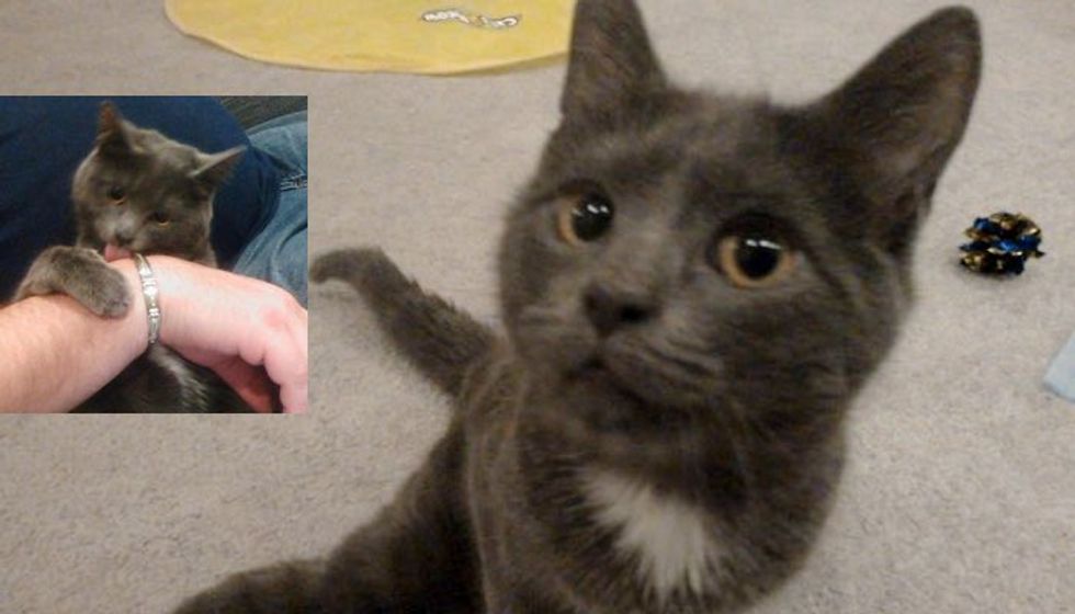 Special Needs Cat Saved from Death Row Waited for His Loving Home. Now a Year Later...
