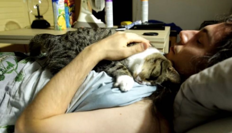 Kitty Wakes Up Man with Same Ritual Every Day Since He Rescued Her as a Baby