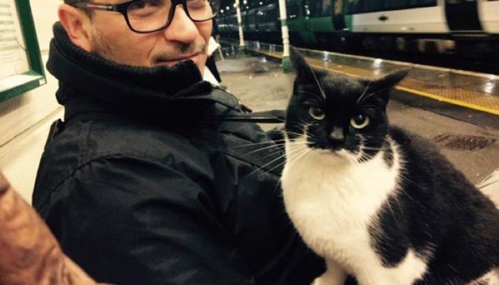Cat Comes to Rail Station to Give Passengers Cuddles Every day