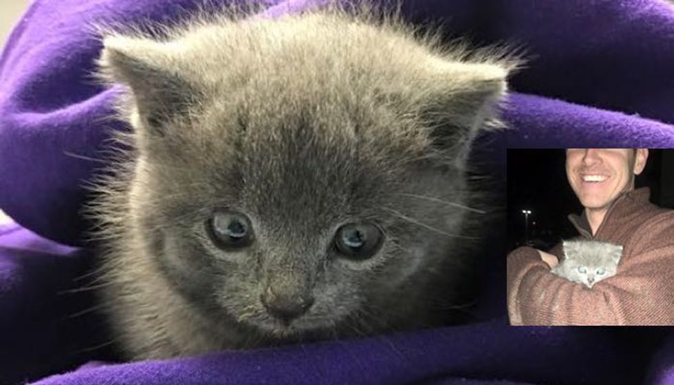 After 12 Hours, They Didn't Give Up Saving Stray Kitten Trapped Under Streets