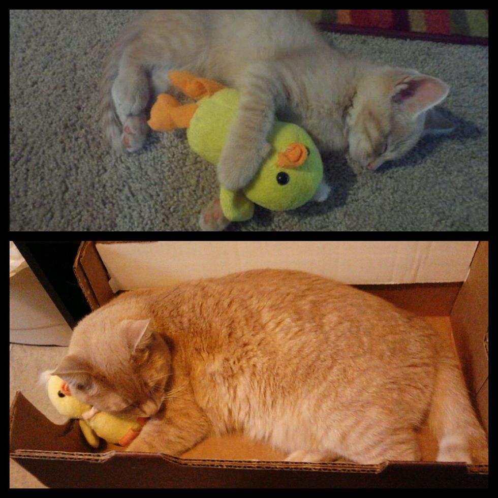 18 Months Later He Still Sleeps With His Toy