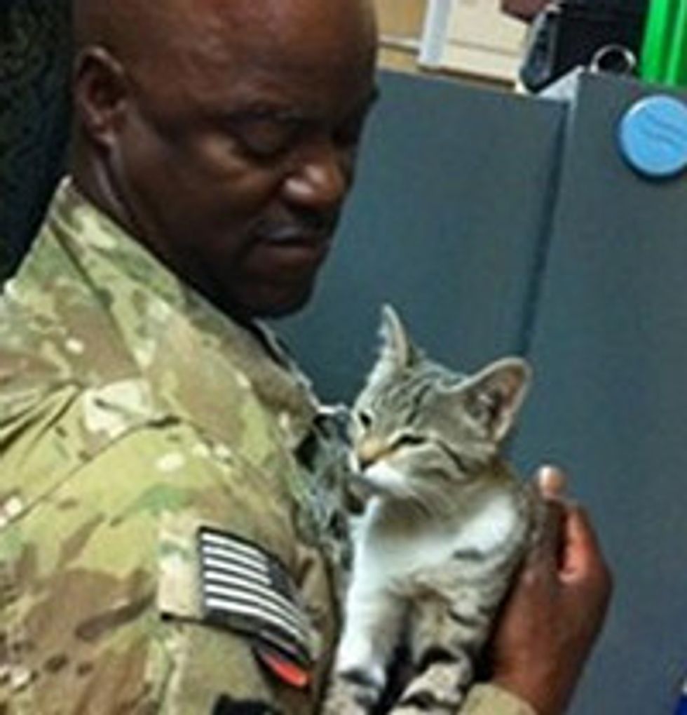 Afghan Kitten Is Reunited With Soldier In Texas