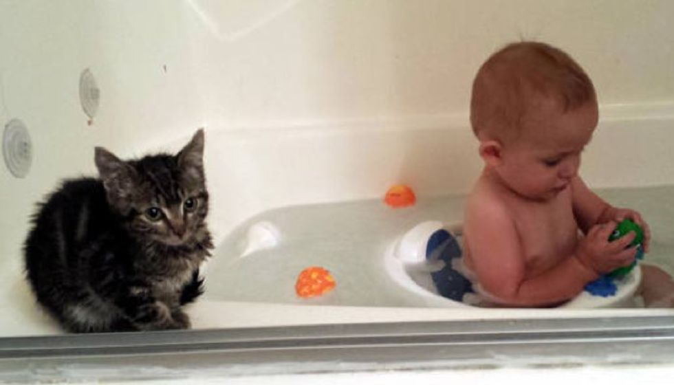Kitty Won’t Leave Her Baby Brother’s Side, Then and Now