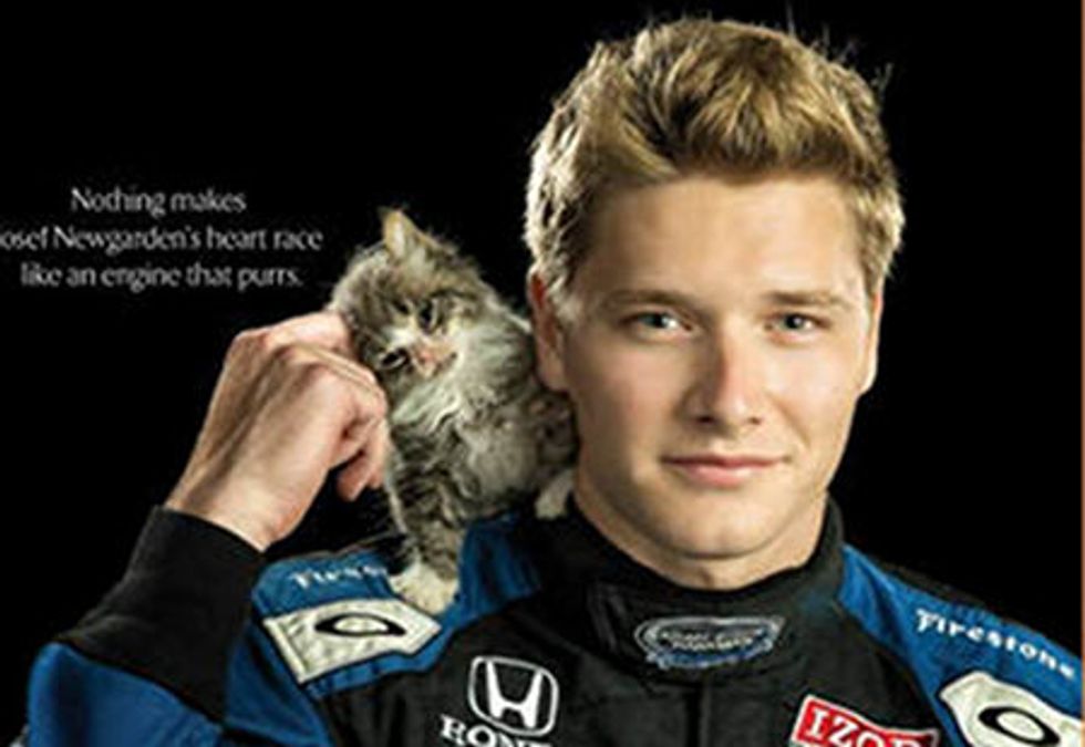 IndyCar Driver Adopts Kitten He Met In Baltimore Shelter