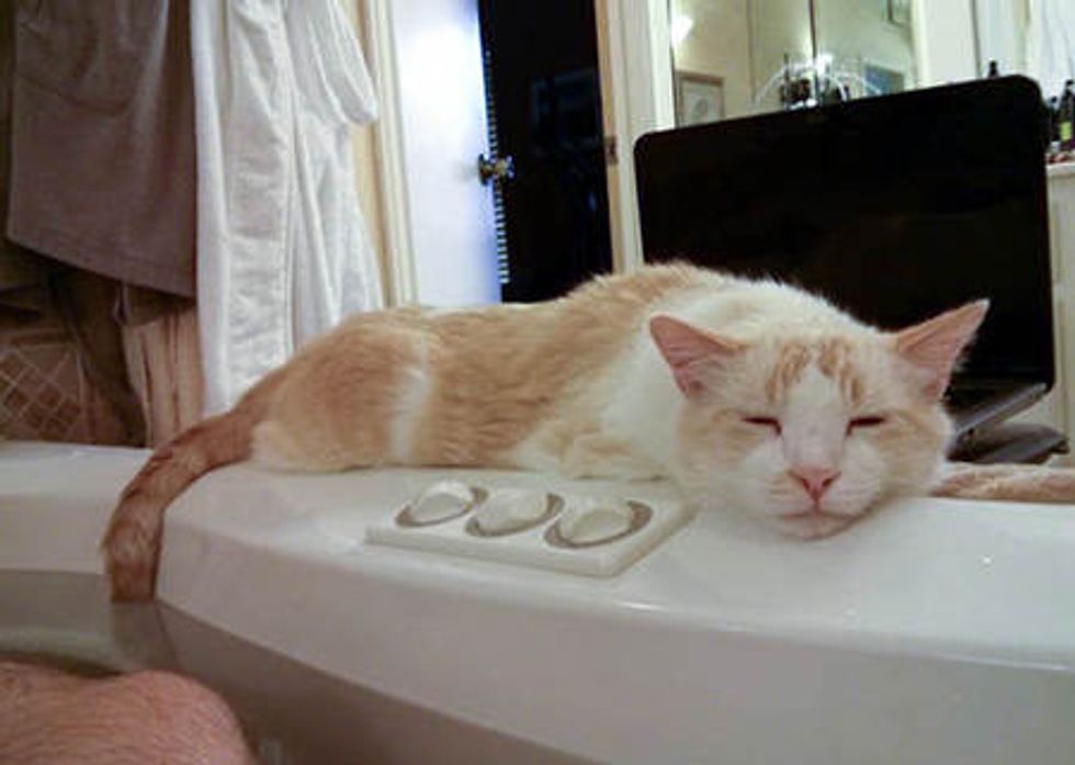 "I Can't Even Take A Bath Without Him."