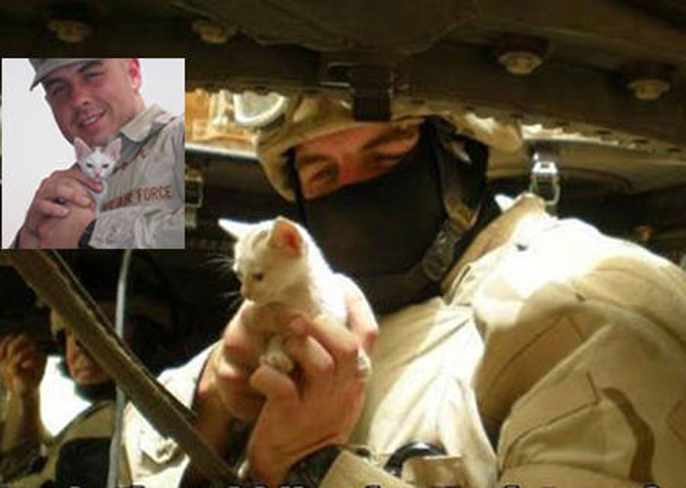 Soldiers Save Kitten From Iraq Sandstorm