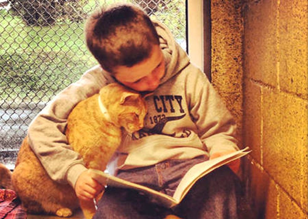 Children Read To Shelter Cats To Soothe Them