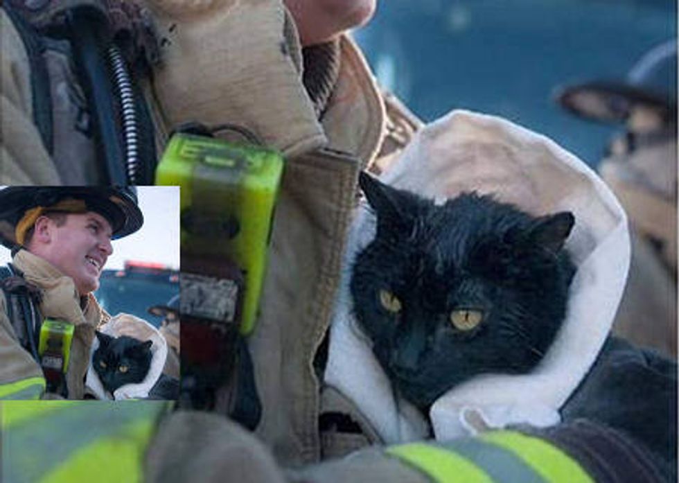 Firefighter Rescues Cat From House Fire