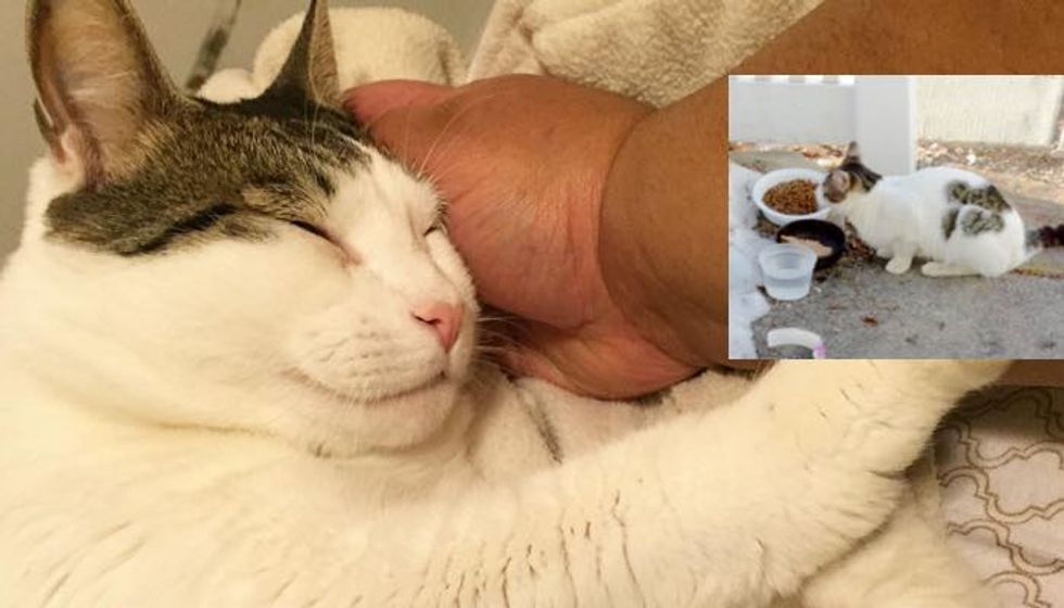 Man Spent Days to Save Stray Cat from Living in the Cold