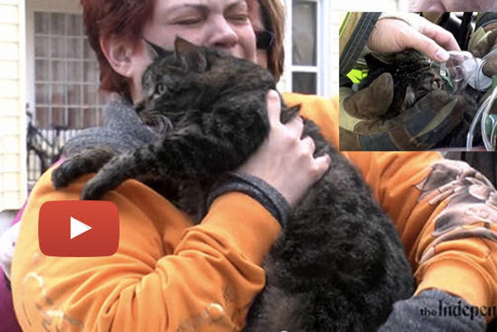 Firefighters Rescue Cat And Say Cat's Part Of Family