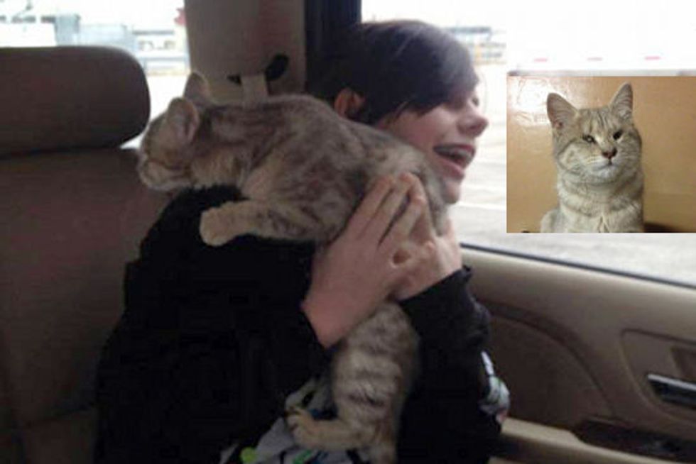 Blind Cat Rescued In Afghanistan, Now Home In America